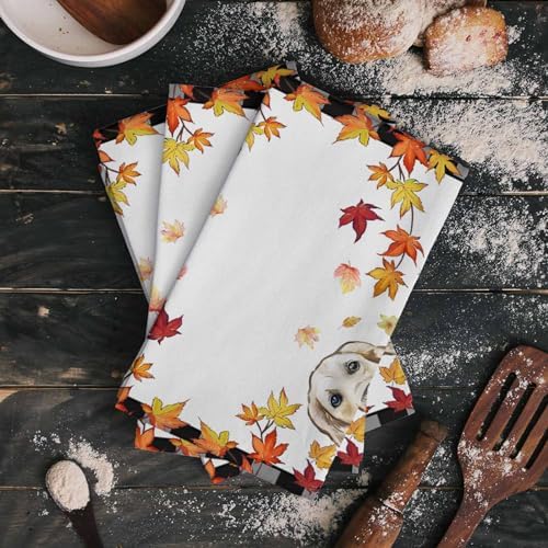 Thanksgiving Pumpkin Dog Kitchen Towels Black Plaid Autumn Maple Leaf