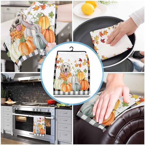 Thanksgiving Pumpkin Dog Kitchen Towels Black Plaid Autumn Maple Leaf