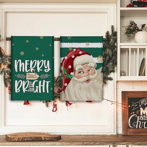 Auomily Nostalgic Santa Christmas Kitchen Towel Set of 2
