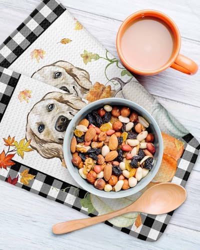 Habtucy Thanksgiving Pumpkin Dog Towels Set 4-Piece