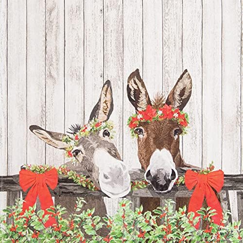 CF Home_printed Christmas Donkey 18x27