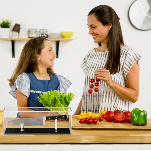 Rustic Kitchen Knife Display Case Display Case for Jobs