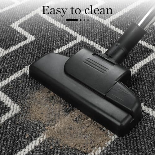 Hicapide Kitchen Rugs for Living Dining Kitchen