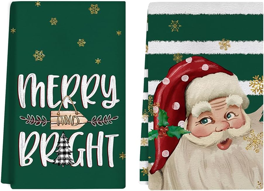 Auomily Nostalgic Santa Christmas Kitchen Towel Set of 2