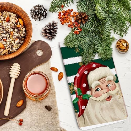 Auomily Nostalgic Santa Christmas Kitchen Towel Set of 2