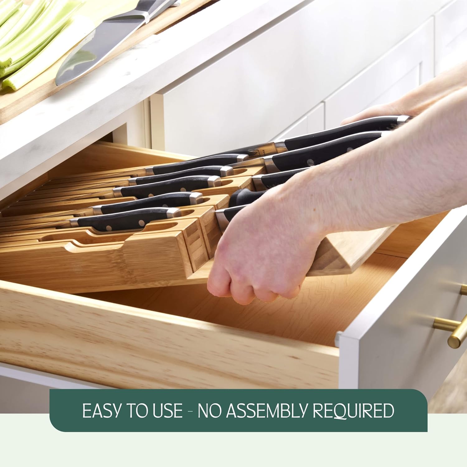 Organizer for Sharp and Sturdy Knives